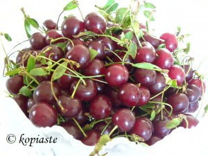 sour cherries - vyssino