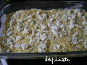 pyrex1