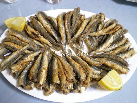 gavros-2009