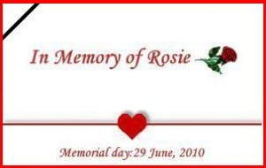 Logo for Rosie